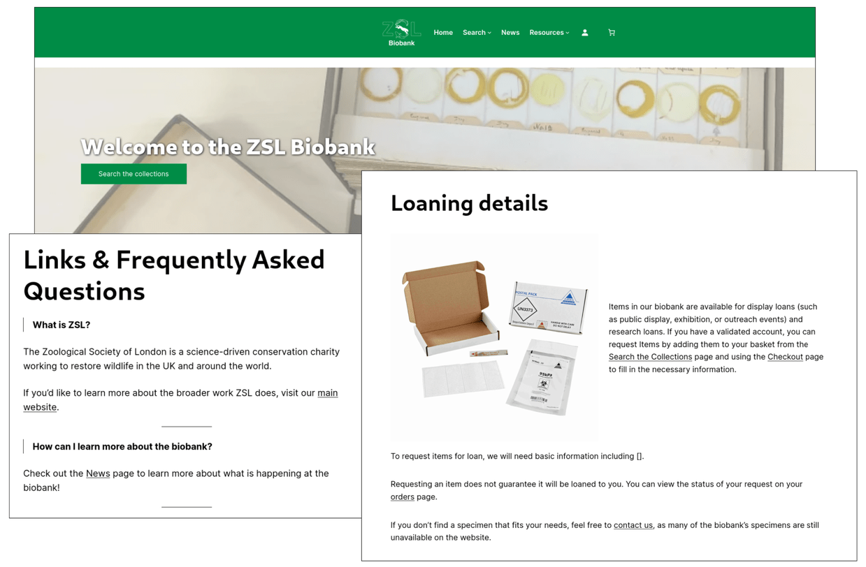 General website pages